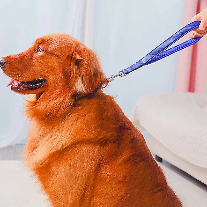 Herraje metálico de la correa para perros grandes