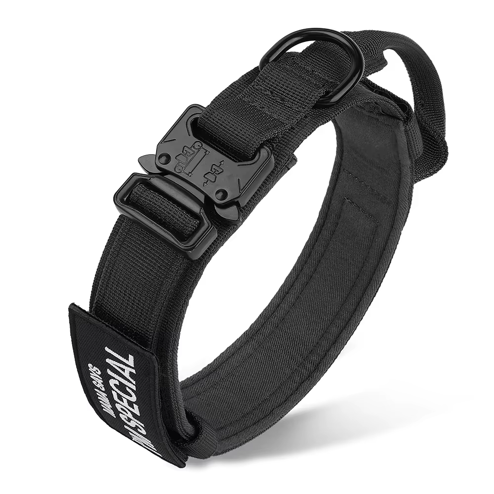 Collar táctico ajustado en perro de tamaño mediano