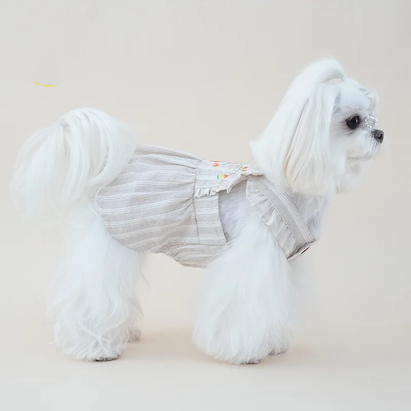 Falda para perro pequeño en uso