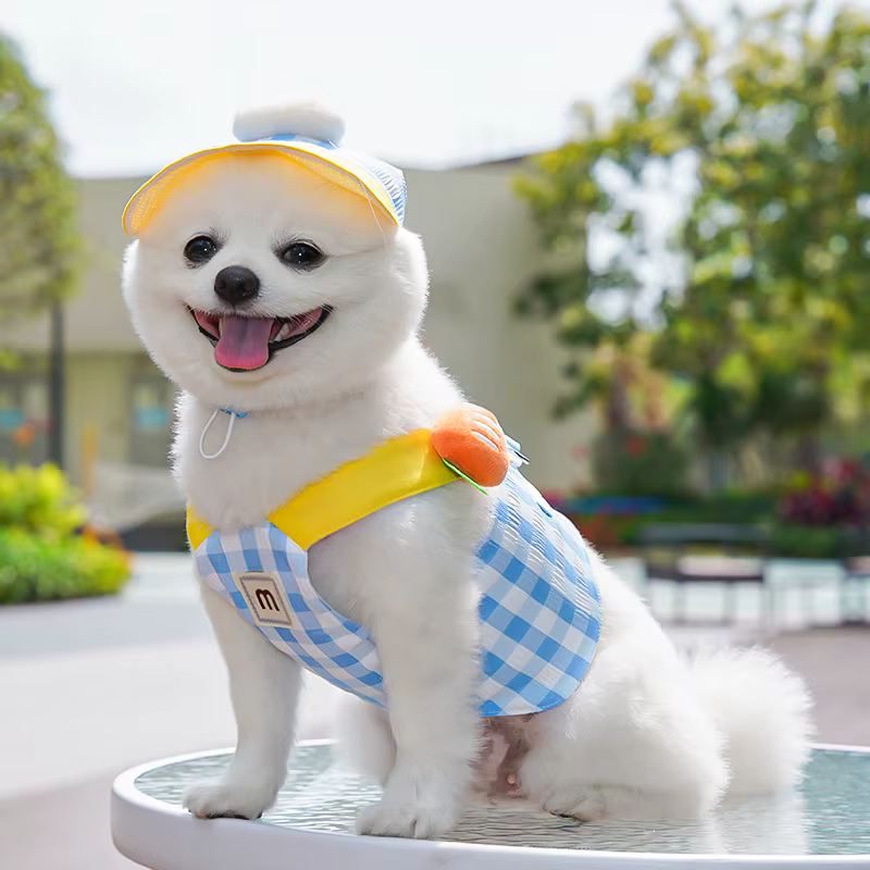 Ropa de verano a cuadros para cachorro: arnés, correa y sombrero - imagen 5