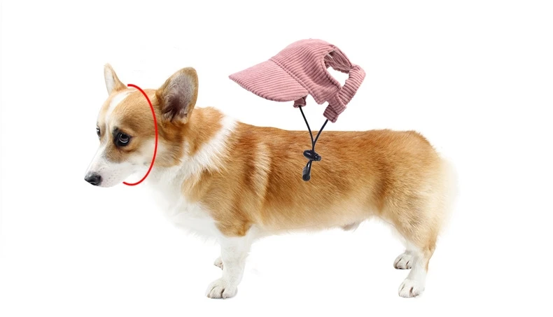Gorra de béisbol para perros vista frontal