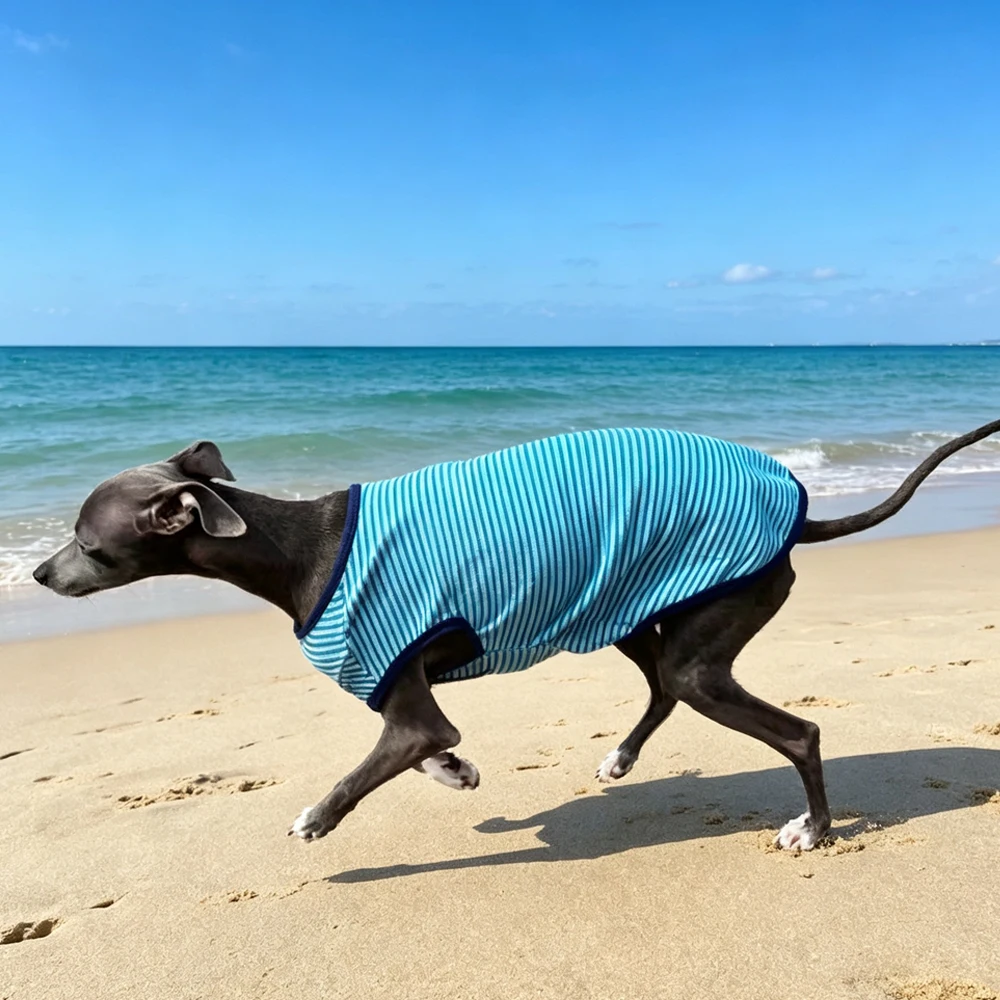 Chaleco de verano para whippet transpirable