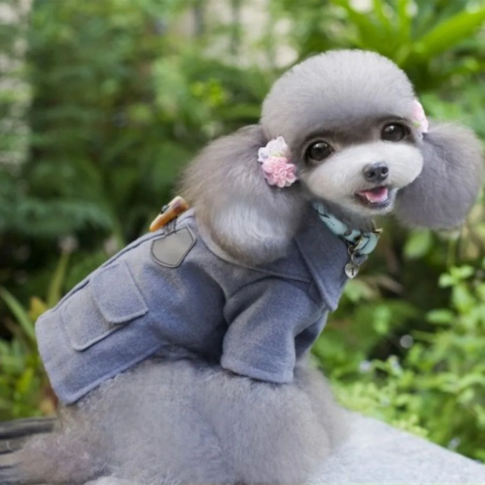 Suéter para cachorros en color gris