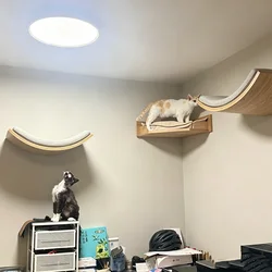 Torre para gatos montada en la pared con hamaca, escaleras y casa