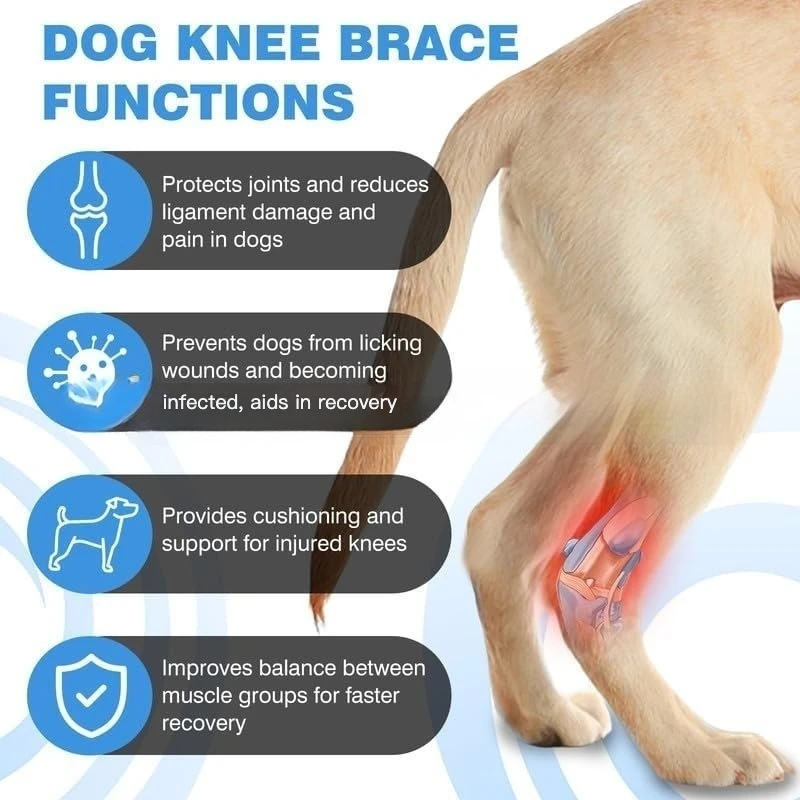 Férula ajustable para la pata del perro con anillo de gel - imagen 3