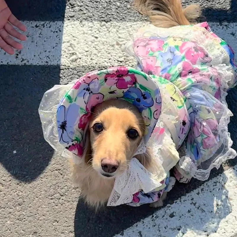 Perro modelo usando la falda en un parque