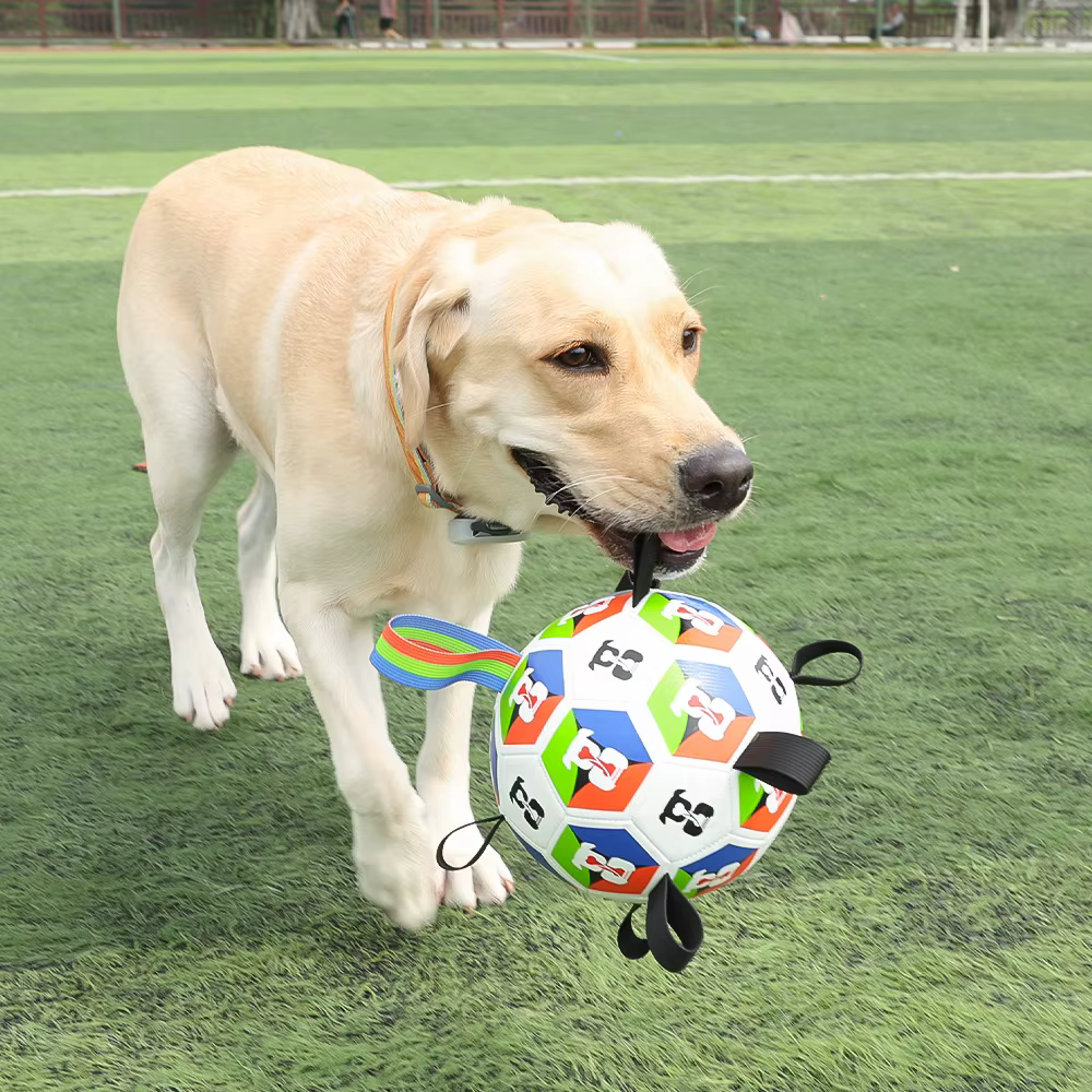 Pelota de fútbol masticable para perros – Interactiva y resistente - imagen 5