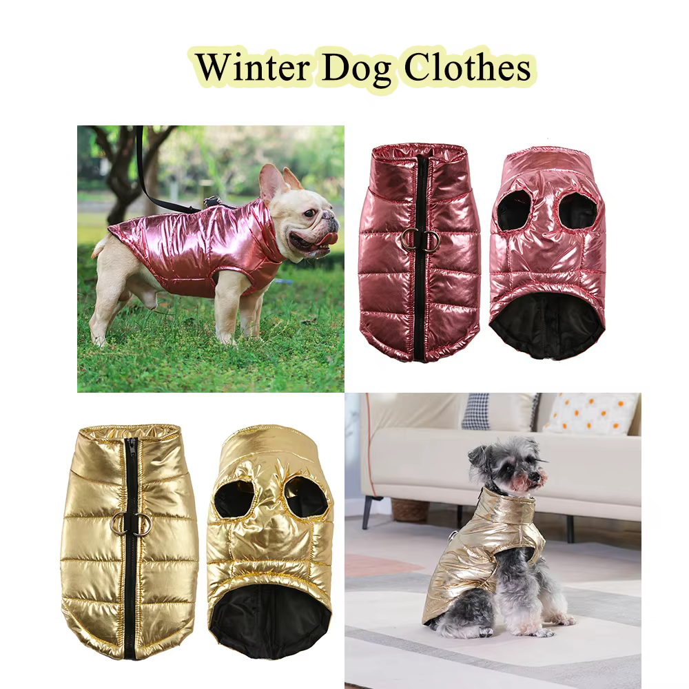 Chaqueta impermeable para perros y gatos pequeños – abrigo cálido