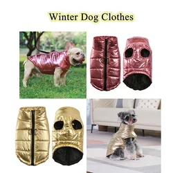 Chaqueta impermeable para perros y gatos pequeños – abrigo cálido