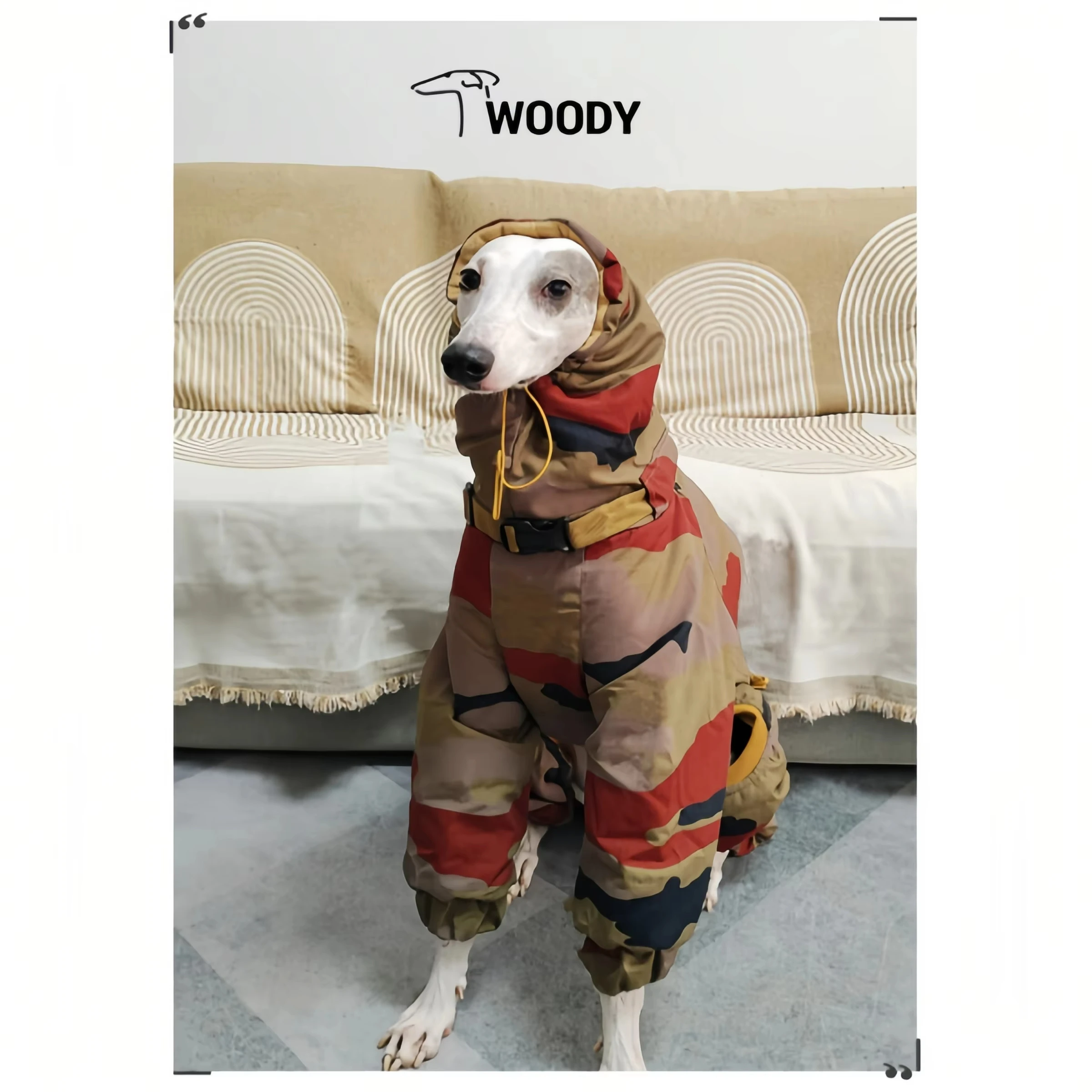 Perro con abrigo camuflado