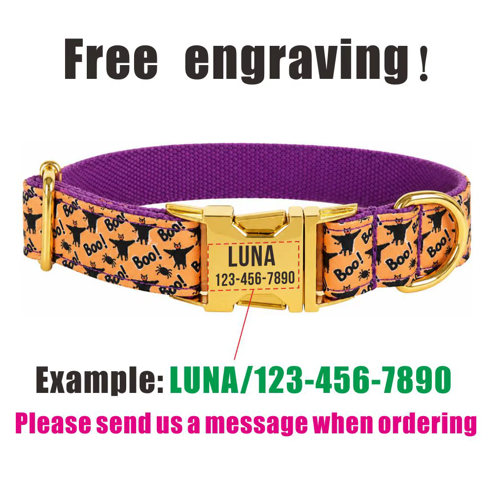 Collar personalizado perro Halloween calabaza y murciélago, ajustable - imagen 4