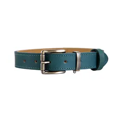 Collar de cuero italiano grano completo para perro – Herrajes vintage antitirones