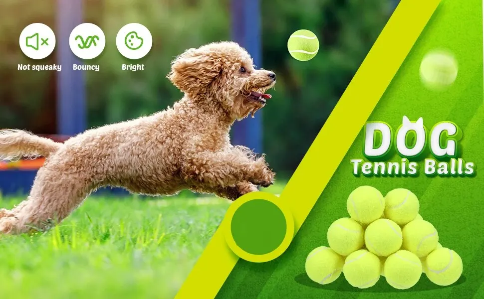 Pelotas de tenis amarillas para perros
