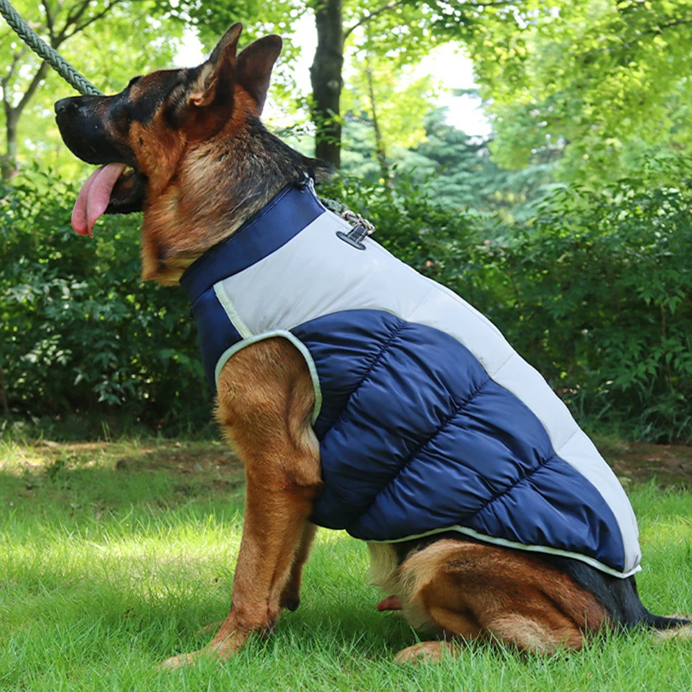 Chaqueta de plumón para perros con anillo en D - cierre y ajuste