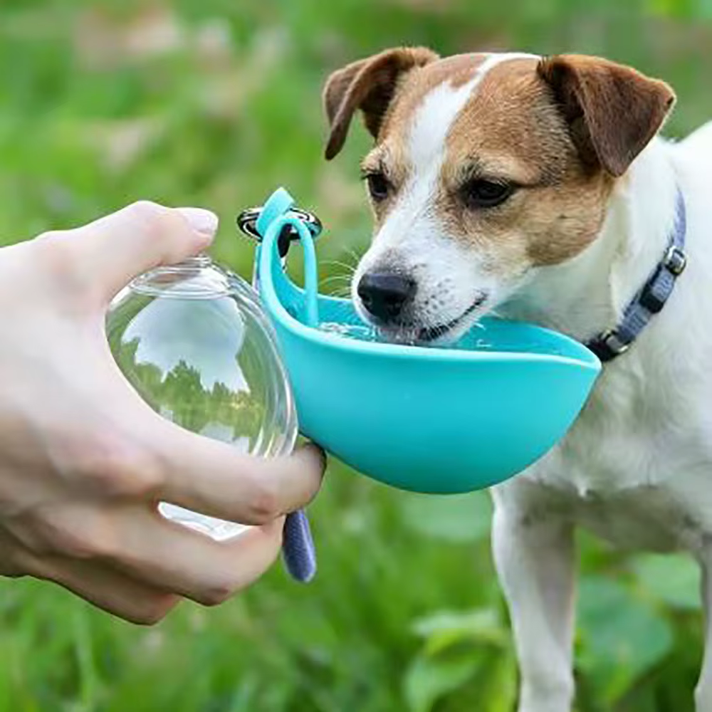 Set de viaje para perros – Botella portátil y dispensador de bolsas con diseño de huella - imagen 3