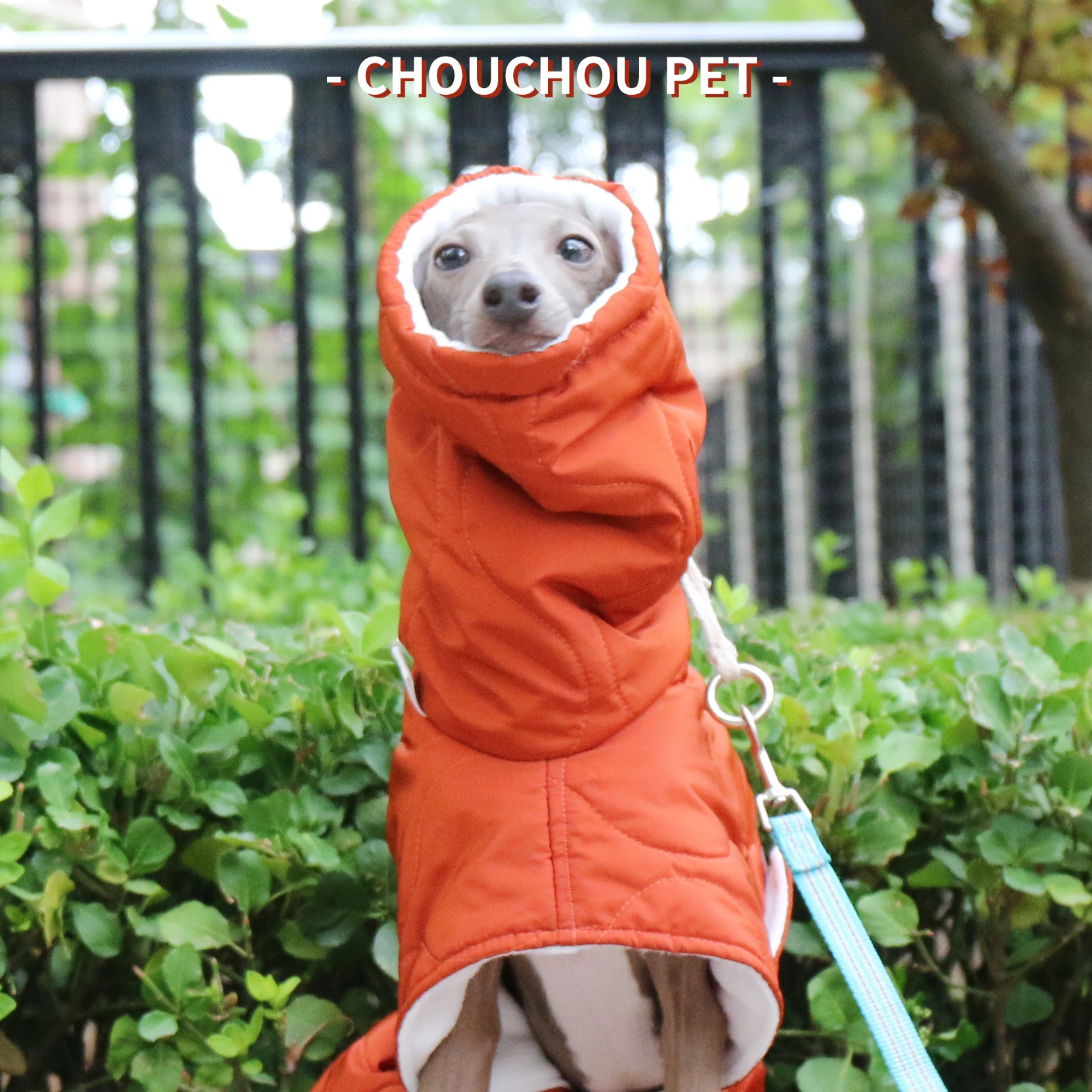 Perro usando el abrigo en posición de descanso