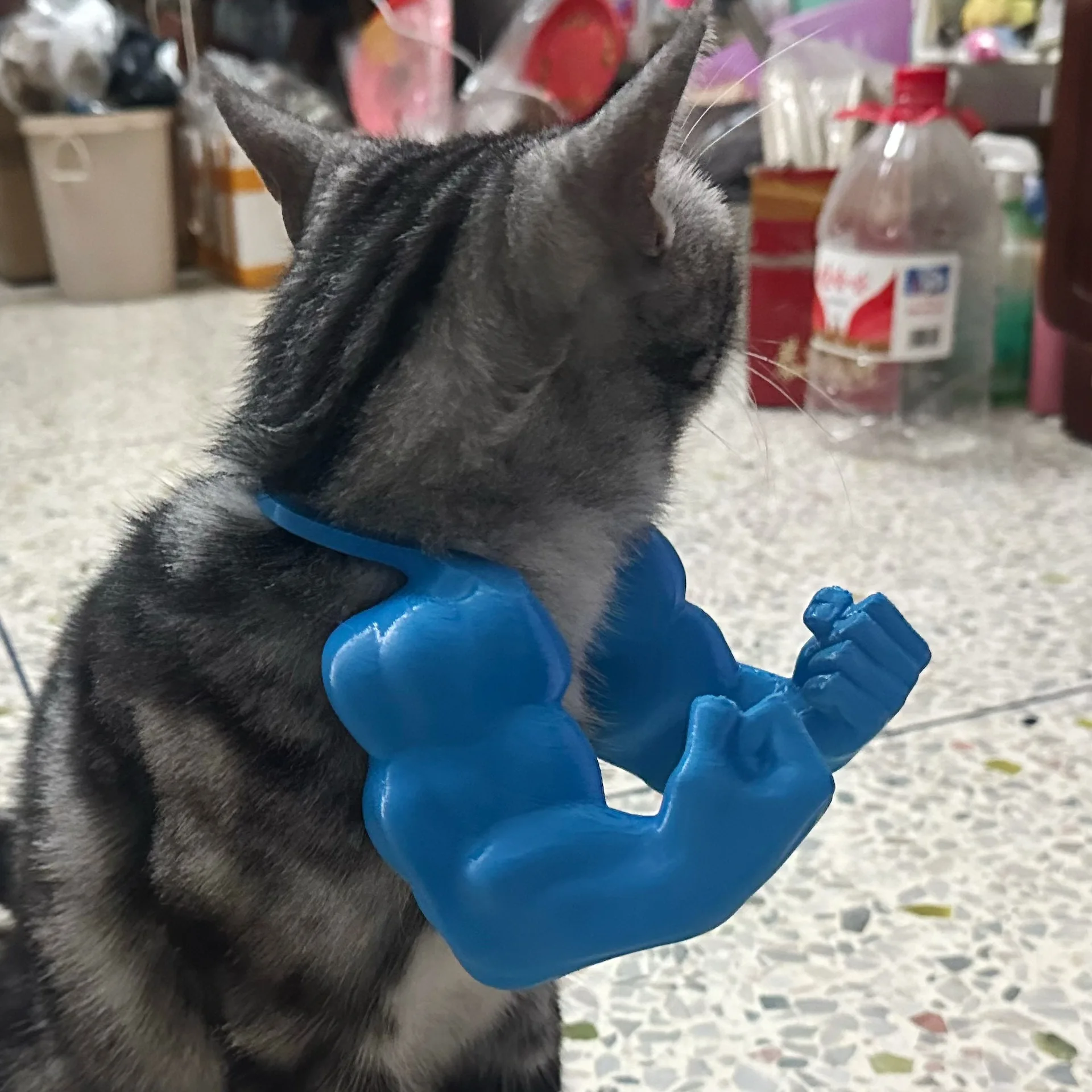 Idea de presentación en inciativa de hogar
