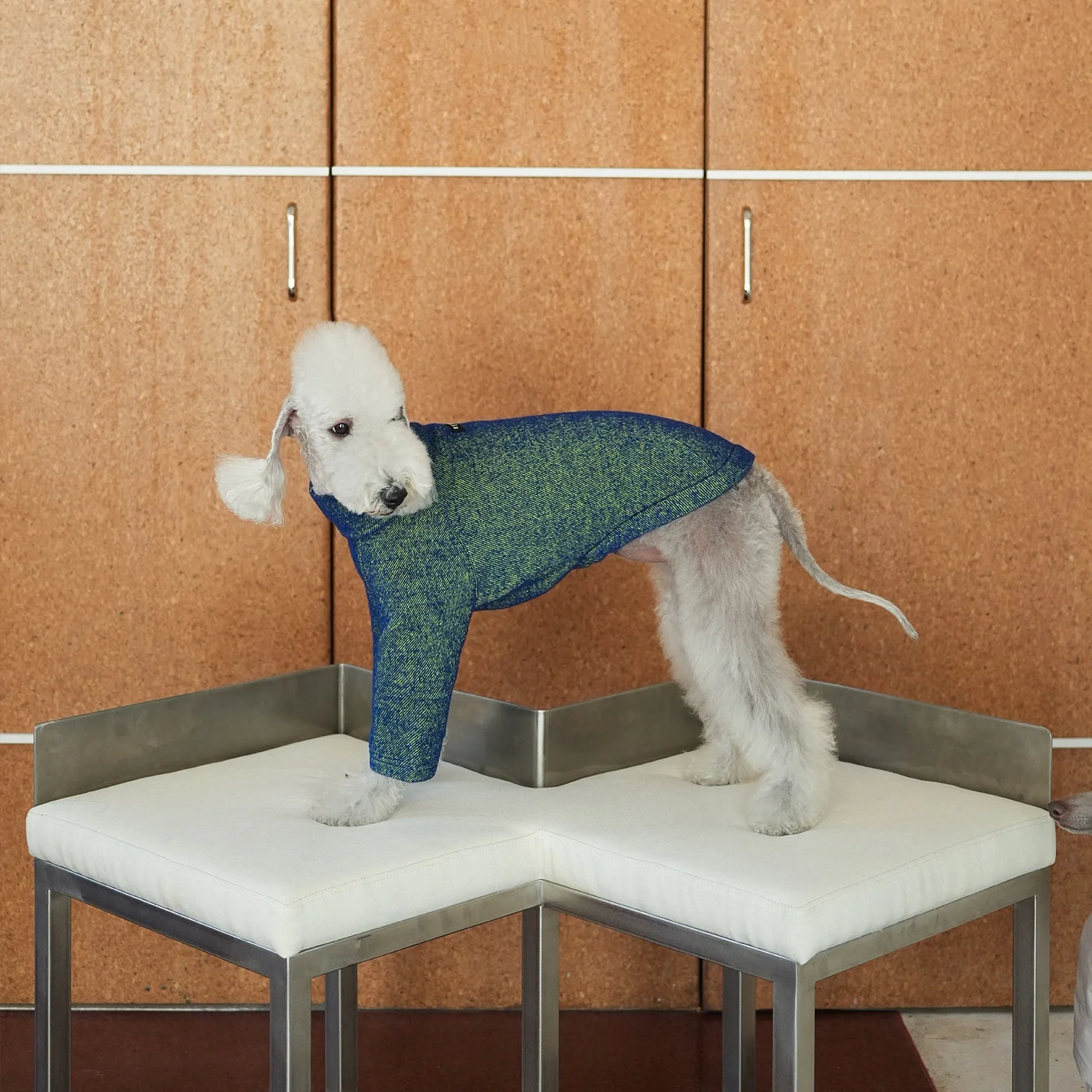 Suéter térmico rojo para perros medianos