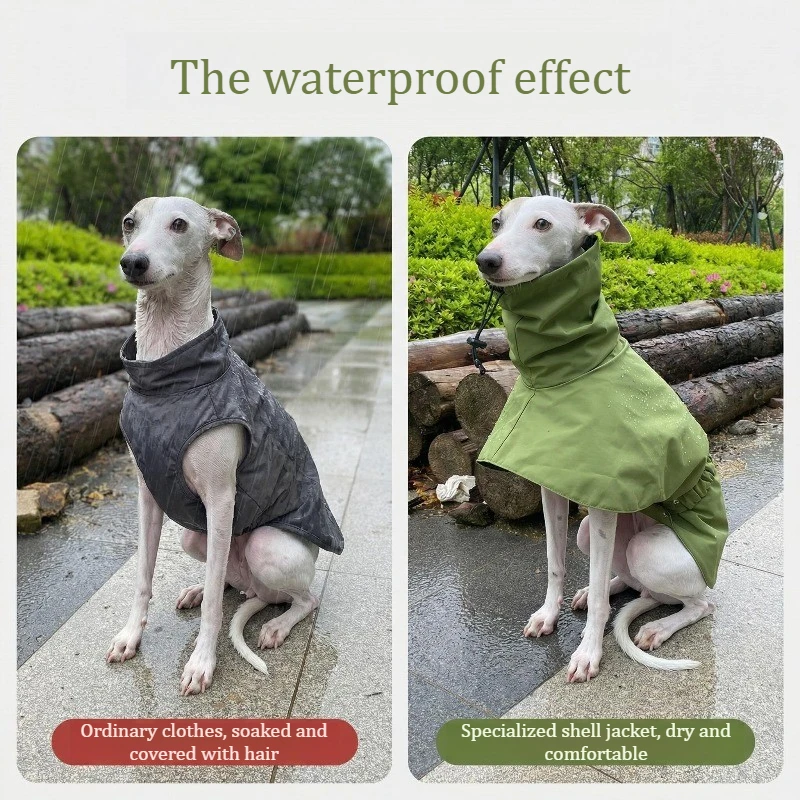Impermeable para perros resistente al viento