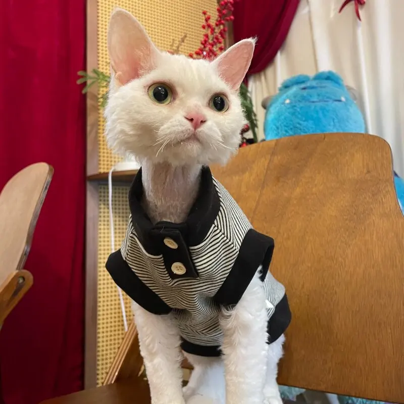 Jersey gris a rayas de algodón para gato Sphynx