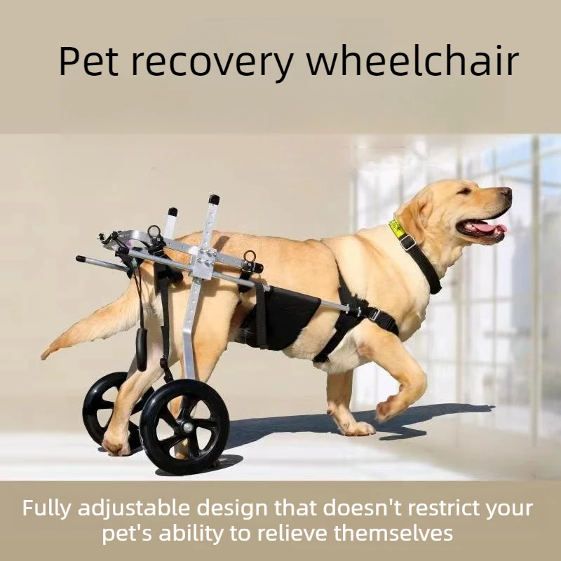 Silla de ruedas para perros, soporte trasero para rehabilitación y parálisis