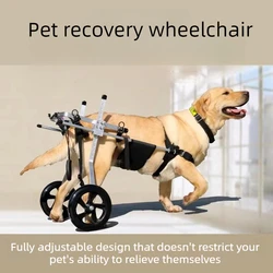 Silla de ruedas para perros, soporte trasero para rehabilitación y parálisis