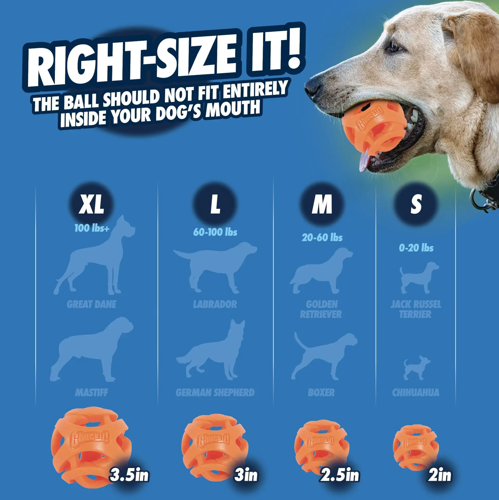 Pelota OUZEY para actividades interactivas con perros