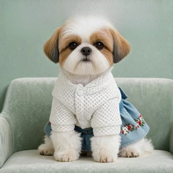 Vestido Vaquero Bordado para Perro Pequeño con Lazo y Flores