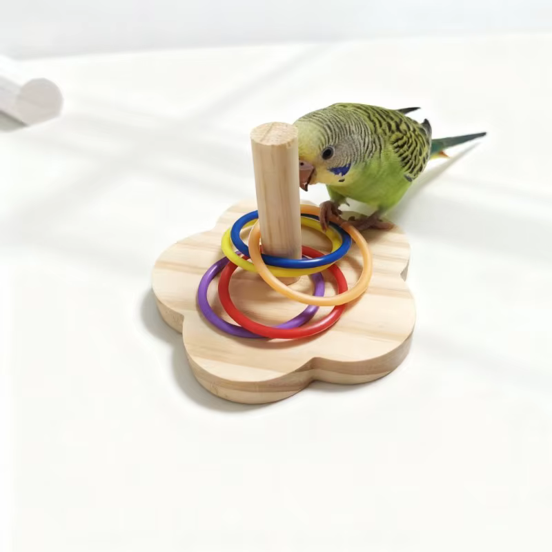 Juego ideal para loros pequeños y medianos