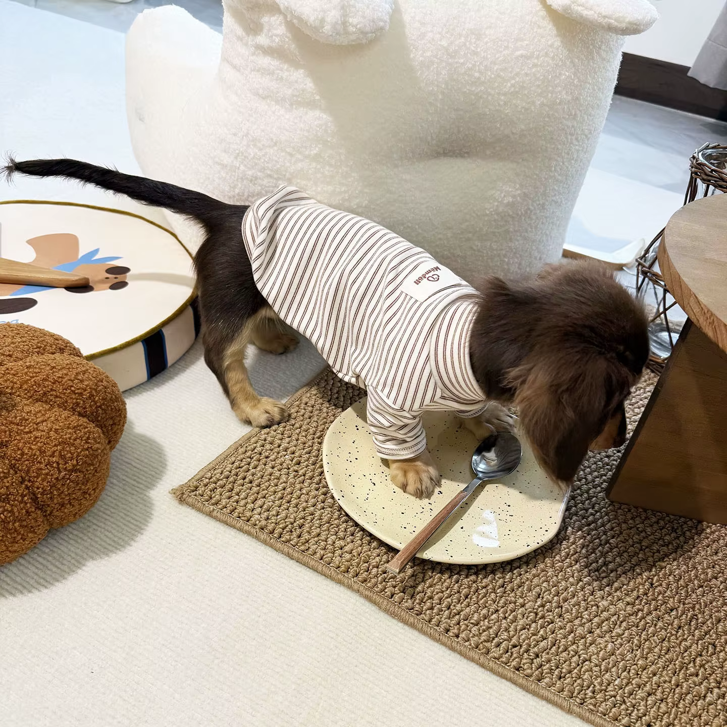 Sudadera a Rayas para Perros Pequeños y Medianos – Otoño e Invierno - imagen 3