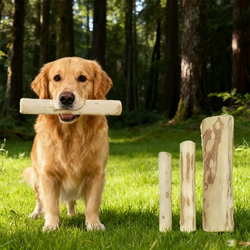 Perro disfrutando del juguete masticable de madera