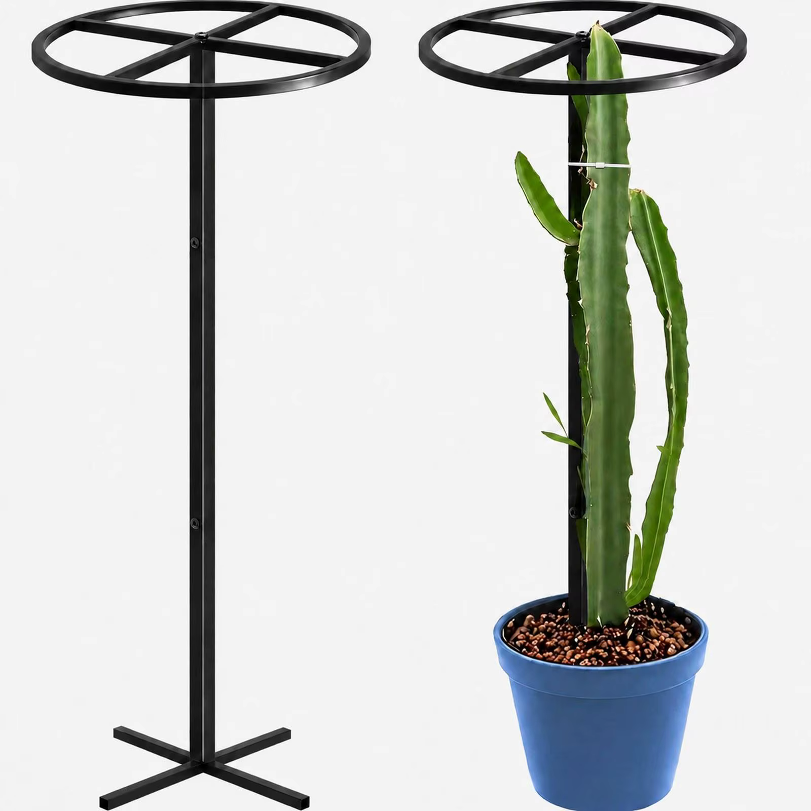 Soporte vertical para plantas trepadoras