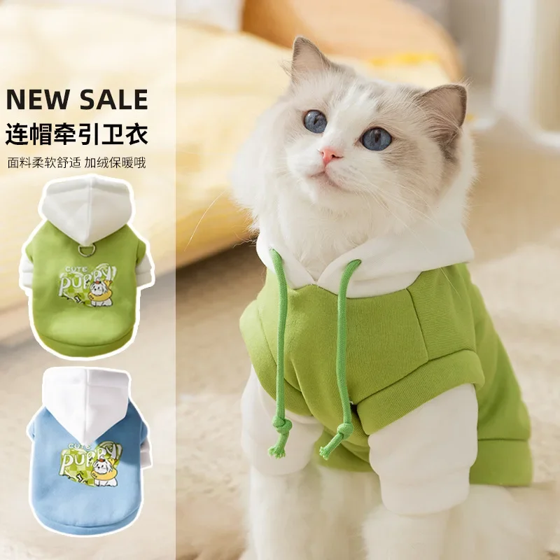 Mascota con sudadera