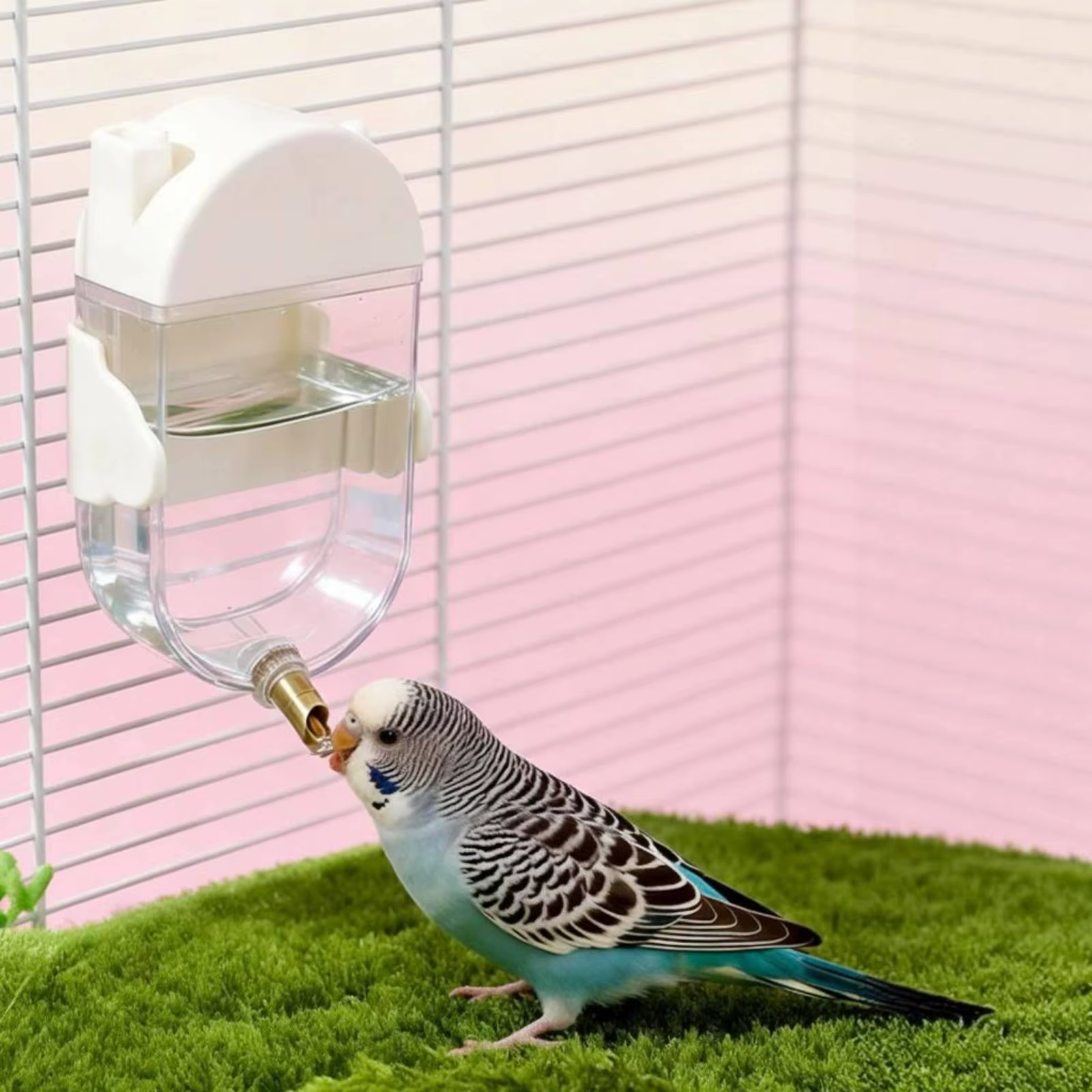 Bebedero para Loros y Periquitos – Dispensador Sin Derrames para Jaula - imagen 3