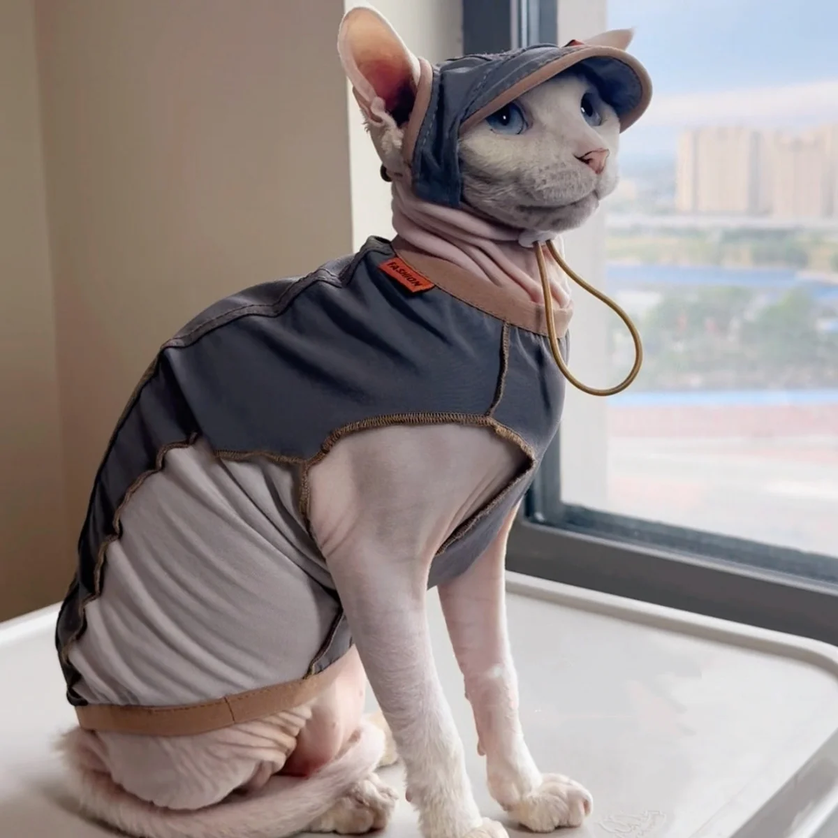 Chaleco de algodón gris para gatos sin pelo, protección solar - imagen 5