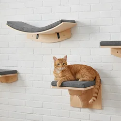 Conjunto mural para gatos con hamaca, escaleras y caseta