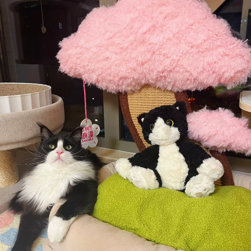 Árbol rascador con cama y arenero para gatos, diseño minimal - imagen 3