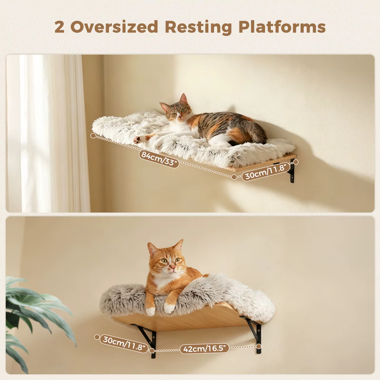 Rascador de pared para gatos: estantes y cuerdas de trepa interior - imagen 3