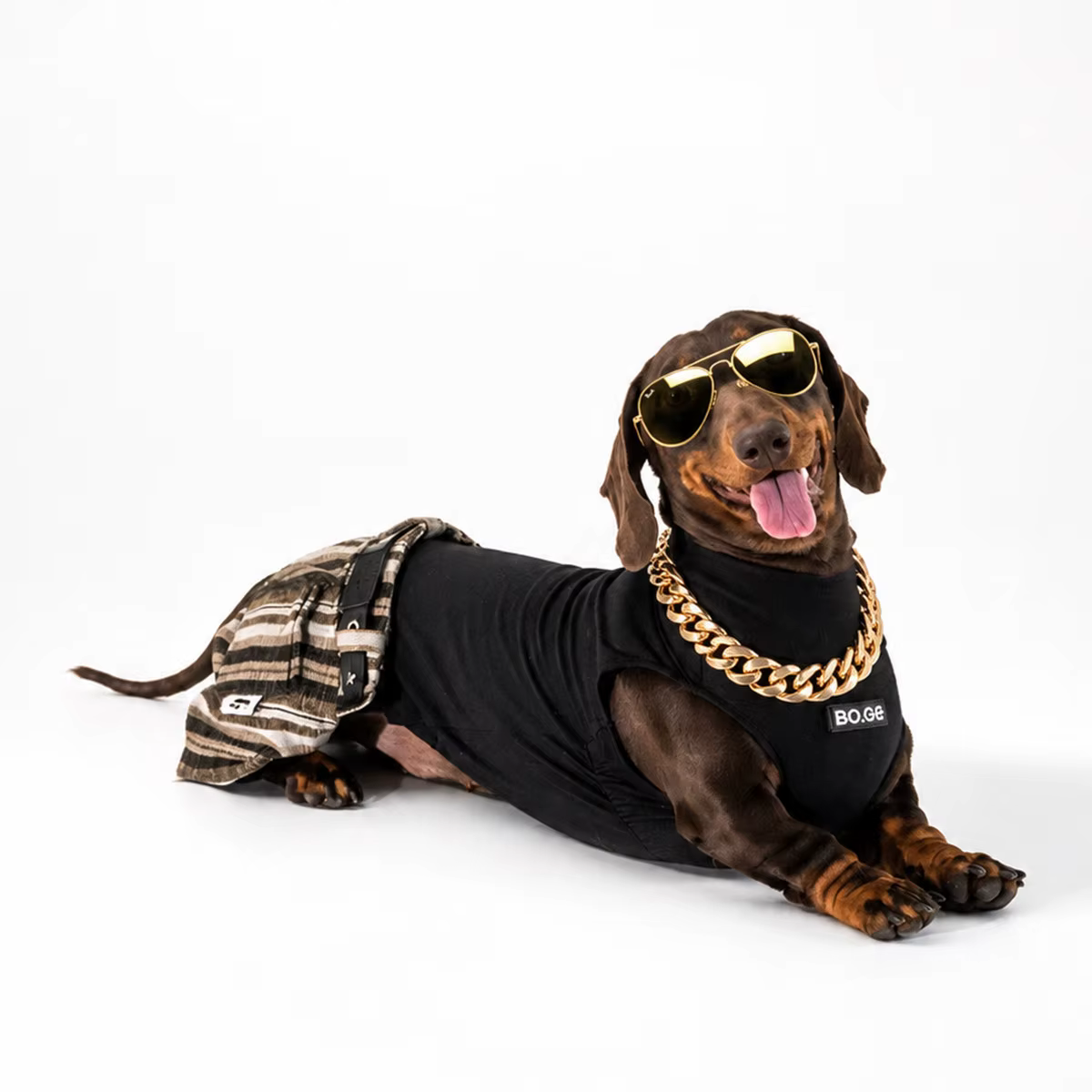 Chaleco sin mangas y pantalón para Dachshund, ropa de verano
