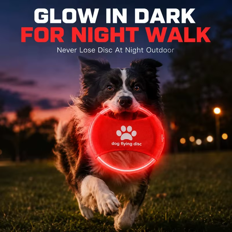 Frisbee luminoso LED recargable para perros pequeños y medianos - imagen 4