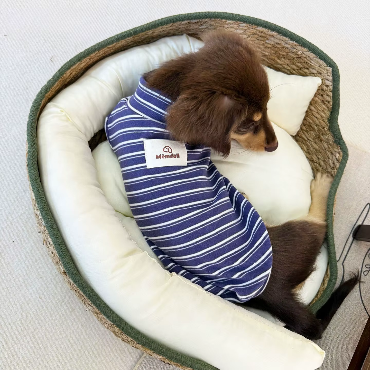 Sudadera a Rayas para Perros Pequeños y Medianos – Otoño e Invierno