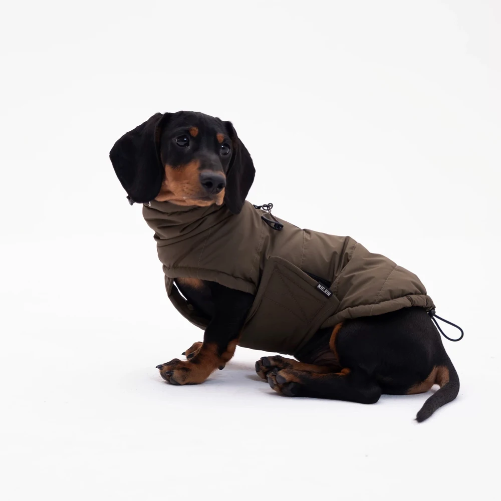 Chaqueta de plumón impermeable desmontable para teckel - imagen 2