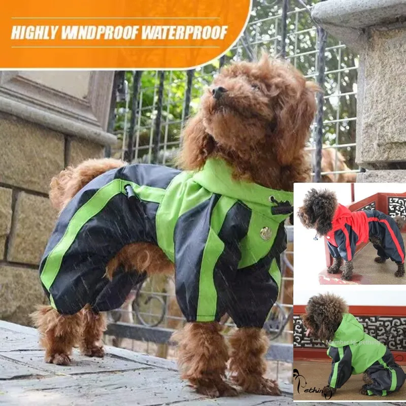 Impermeable con capucha para perros pequeños y cachorros