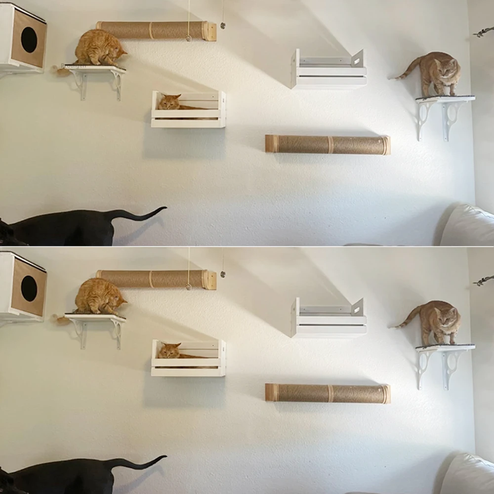 Estante para gatos en ubicación de pared