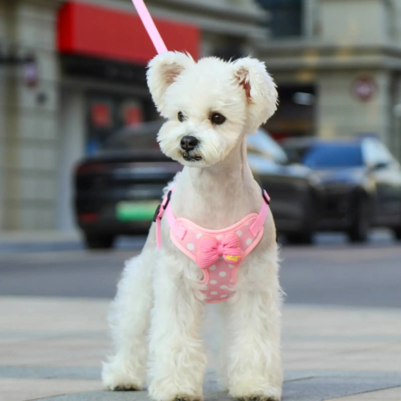 Arnés para perro rosa suave con lazo, transpirable y seguro anti escape - imagen 2