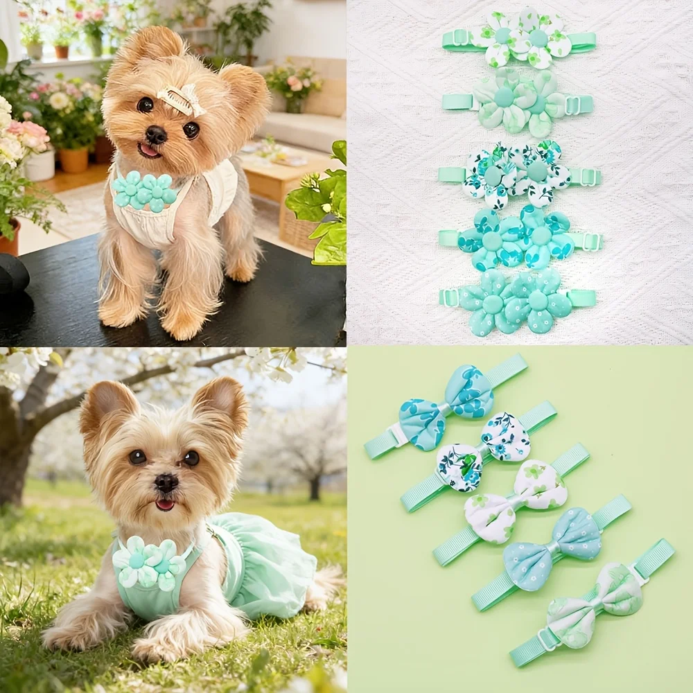 Set de lazos ajustables para mascotas