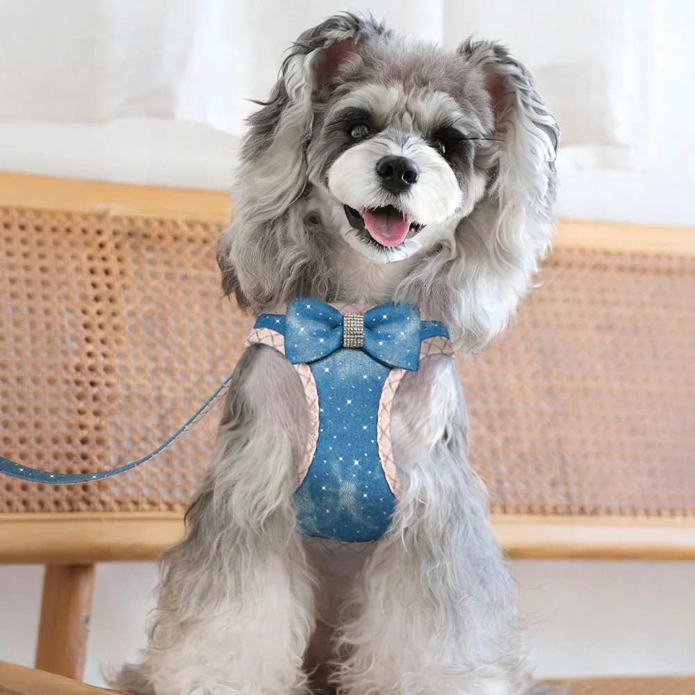 Arnés y correa de mezclilla transpirable para perro – paseo - imagen 2