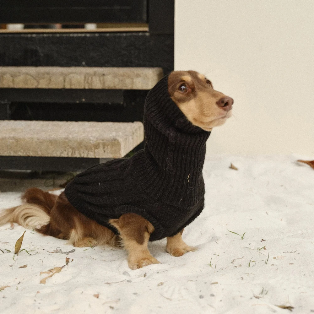 Abrigo de invierno para perros salchicha: suéter manga larga - imagen 5