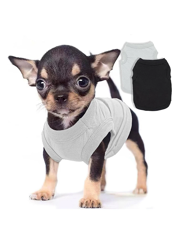 Perro con camisa de verano en colores lisos