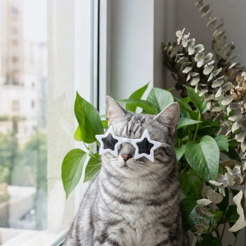 Gafas de sol antideslizantes con forma de estrella para gatos y perros - imagen 5